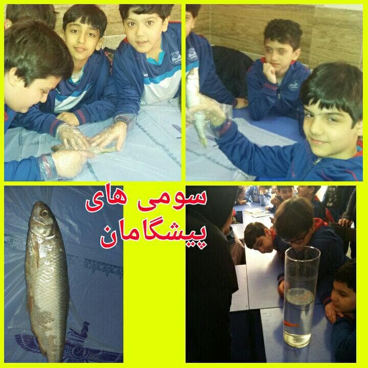 ادغام کلاسهای سوم برای مشاهده و آزمایش های جذاب از فصل دوازدهم علوم.