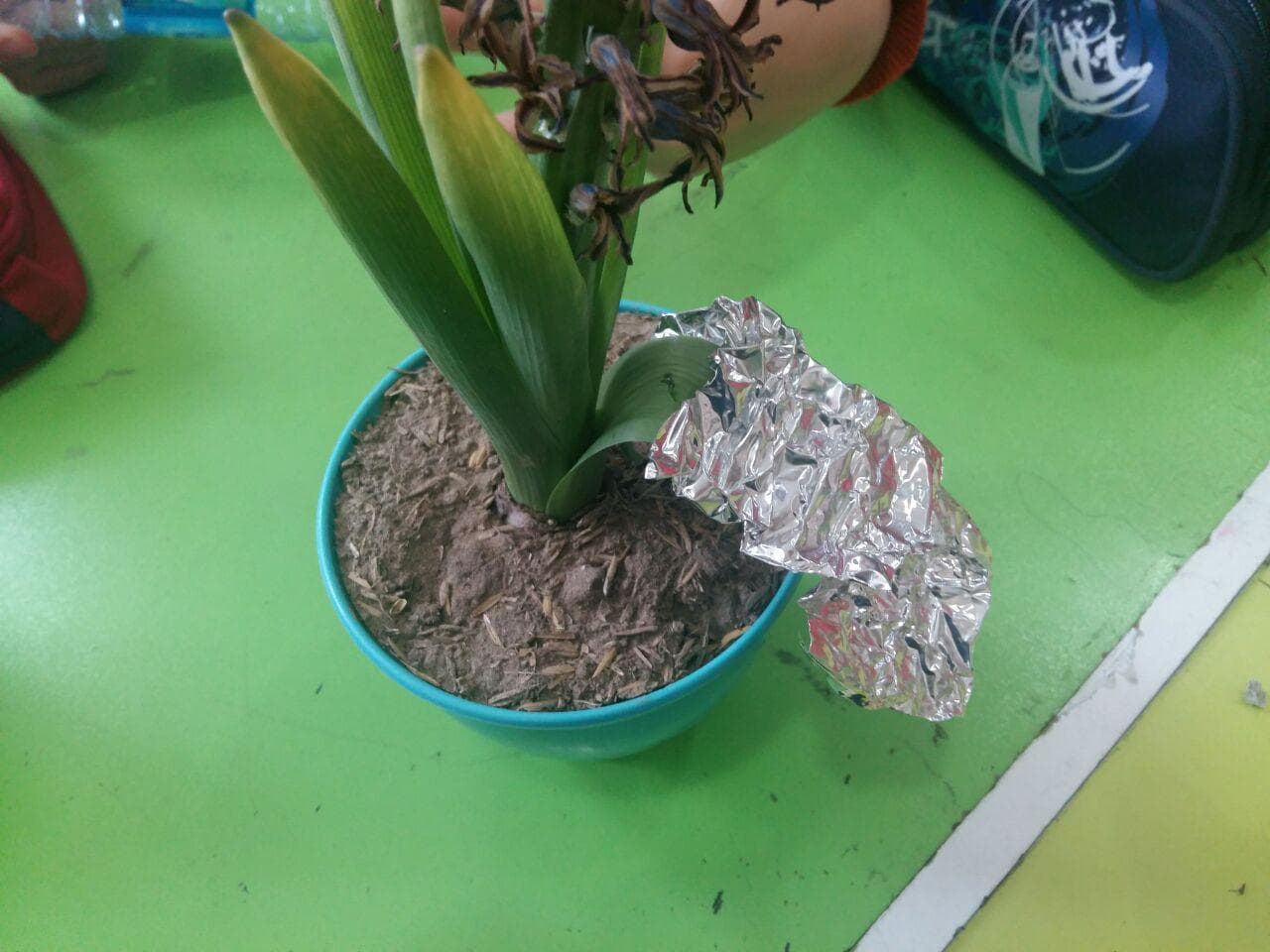 زنگ آزمایشگاه در ششم درفک و خلیج فارس