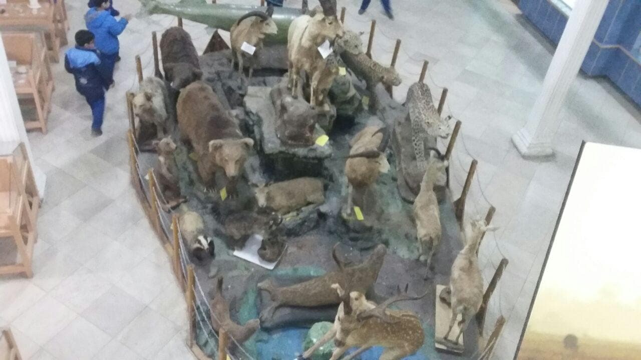 بازدید از محیط زیست