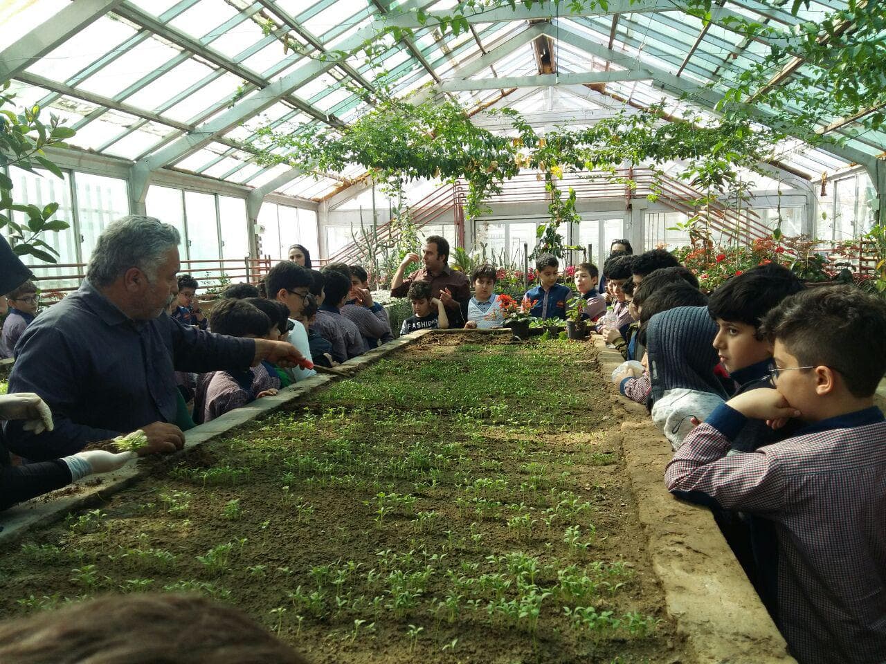 بازدیدپایه دوم و چهارم از گلخانه دانشگاه گیلان